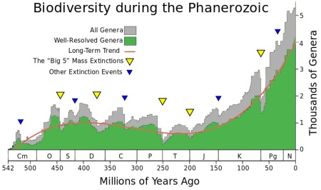 The fossil record shows that biodiversity in the world has been increasing dramatically for 200 million years and is likely to continue. The two mass extinctions in that period (at 201 million and 66 million years ago) slowed the trend only temporarily. Genera are the next taxonomic level up from species and are easier to detect in fossils. The Phanerozoic is the 540-million-year period in which animal life has proliferated. Chart created by and courtesy of University of Chicago paleontologists J. John Sepkoski, Jr. and David M. Raup.